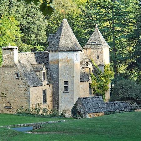 Logement D'Exception Dans Le Chateau De Lacypierre Saint-Crepin-et-Carlucet ภายนอก รูปภาพ