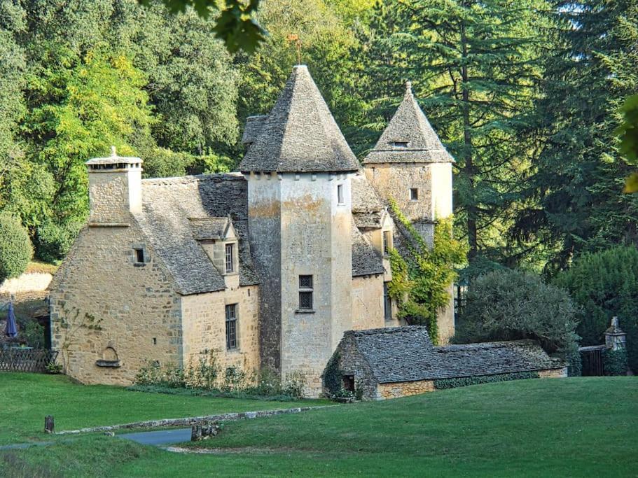 Logement D'Exception Dans Le Chateau De Lacypierre Saint-Crepin-et-Carlucet ภายนอก รูปภาพ